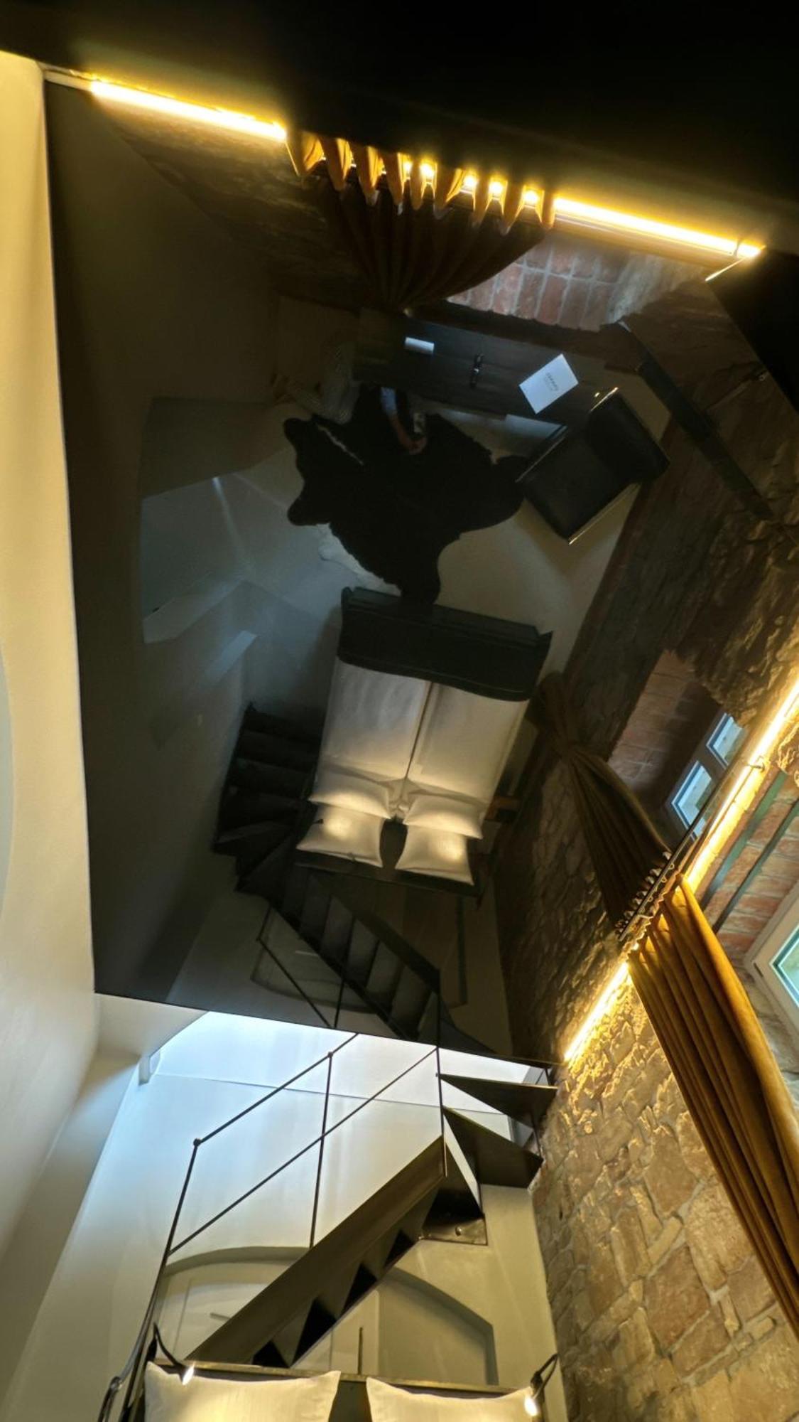 Historical Luxury Homes - Luxus Loft Wallstreet Freiburg im Breisgau Dış mekan fotoğraf
