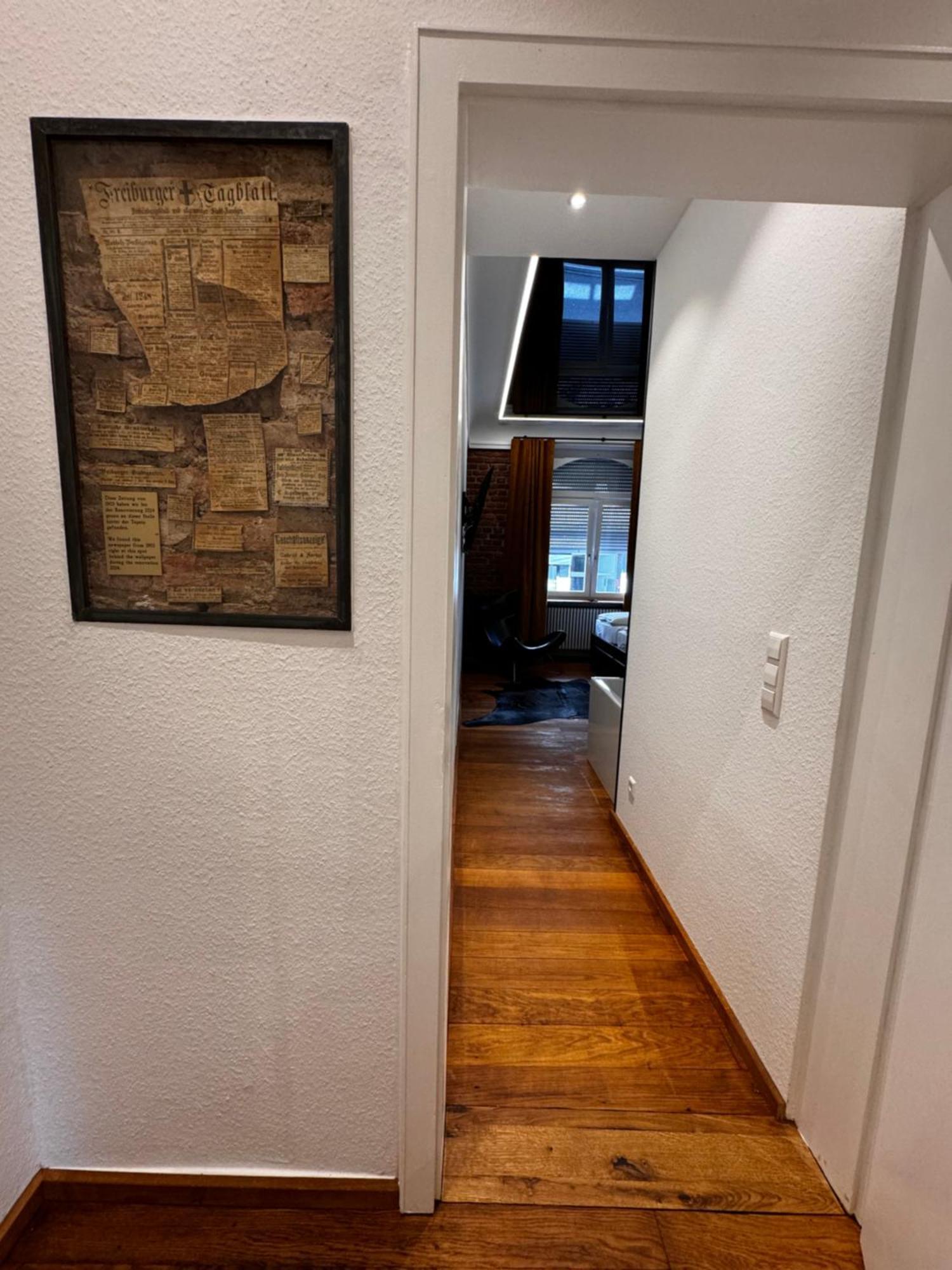 Historical Luxury Homes - Luxus Loft Wallstreet Freiburg im Breisgau Dış mekan fotoğraf